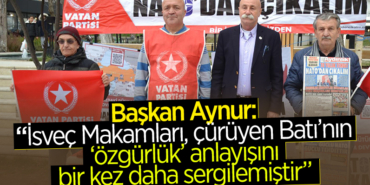aynur
