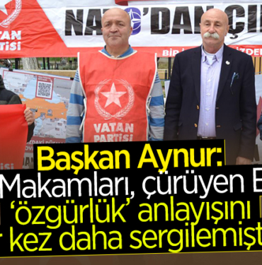 aynur