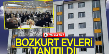 bozkurt