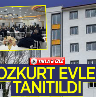 bozkurt