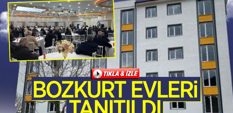bozkurt