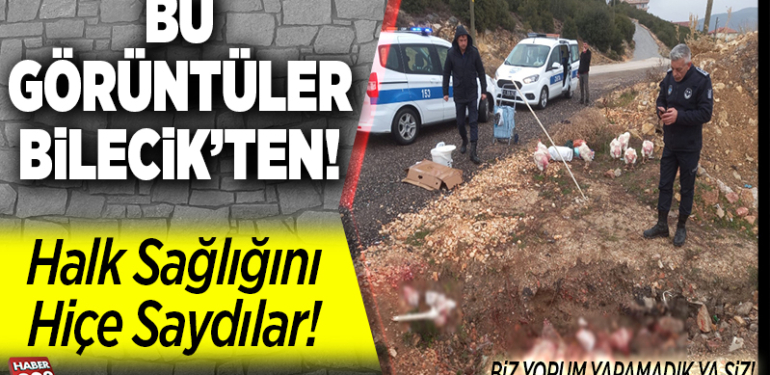 halkın sağlığını hiçe saydılar