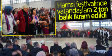 hamsi