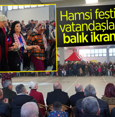 hamsi