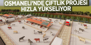 osmaneli
