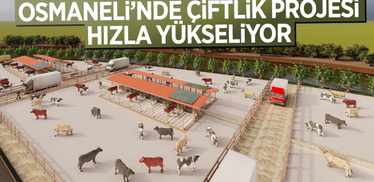 osmaneli