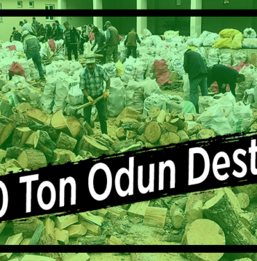 100 ton odun desteği