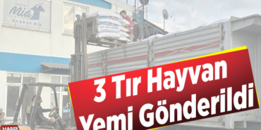 3 tır hayvan yemi gönderildi