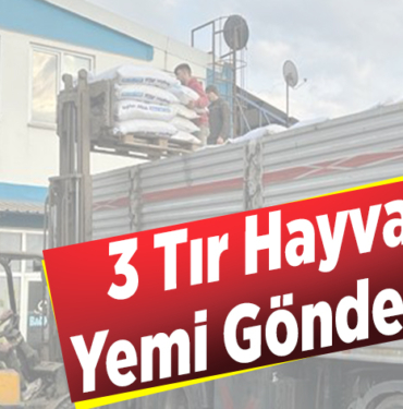 3 tır hayvan yemi gönderildi