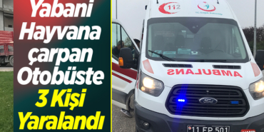 Yabani hayvana çarpan otobüste 3 kişi yaralandı