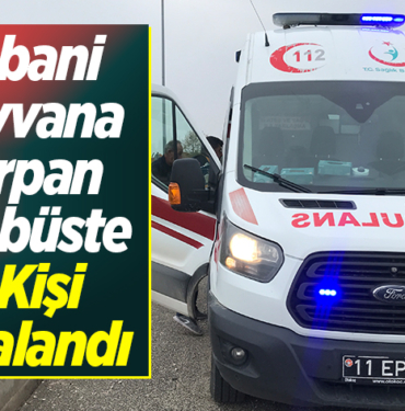 Yabani hayvana çarpan otobüste 3 kişi yaralandı