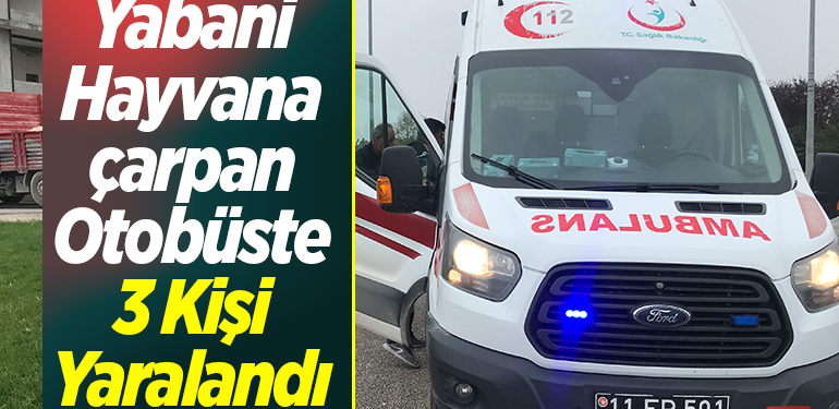 Yabani hayvana çarpan otobüste 3 kişi yaralandı