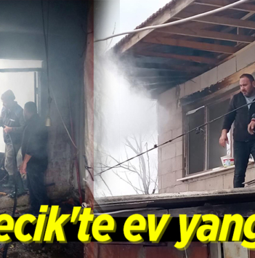 yangı