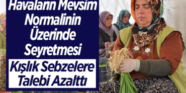 Kışlık Sebzelere taleb azaldı