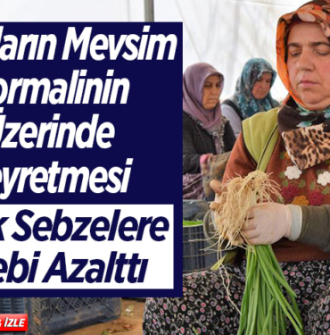 Kışlık Sebzelere taleb azaldı