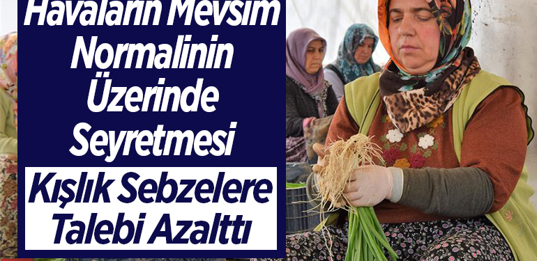 Havaların mevsim normalinin üzerinde seyretmesi kışlık sebzelere talebi azalttı