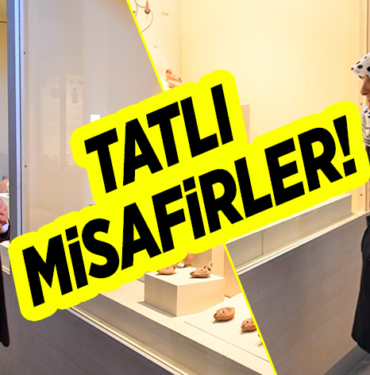 TATLI MİSAFİRLER!