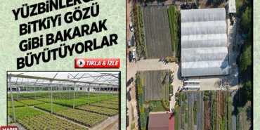 YÜZBİNLERCE BİTKİYİ GÖZÜ GİBİ BAKARAK BÜYÜTÜYORLAR