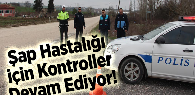Şap hastalığı tedbirleri kapsamında yol kontrolleri devam ediyor