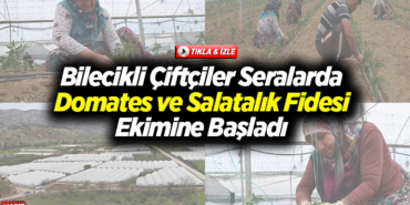 Bilecikli çiftçiler seralarda domates ve salatalık fidesi ekimine başladı