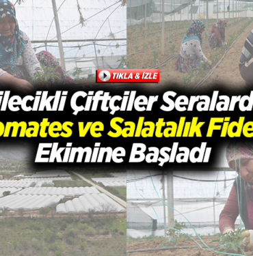 Bilecikli çiftçiler seralarda domates ve salatalık fidesi ekimine başladı