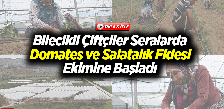 Bilecikli çiftçiler seralarda domates ve salatalık fidesi ekimine başladı