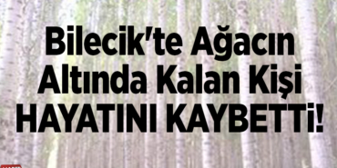 Bilecik'te ağacın altında kalan kişi öldü