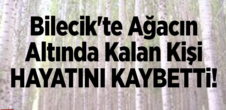Bilecik’te ağacın altında kalan kişi öldü