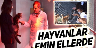 HAYVANLARI EMİN ELLERDE