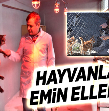 HAYVANLARI EMİN ELLERDE