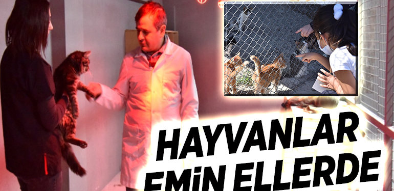 HAYVANLAR EMİN ELLERDE