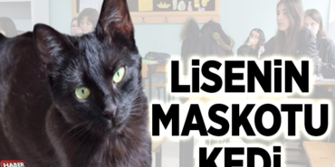 Lisenin maskotu kedi