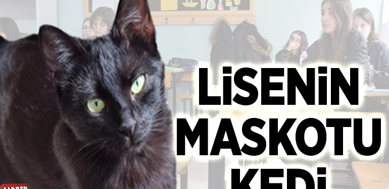 Lisenin maskotu kedi