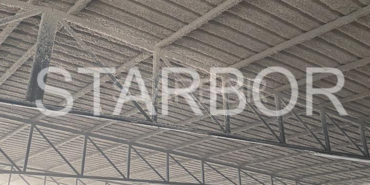 Starbor11