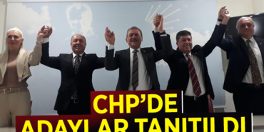 adaylar