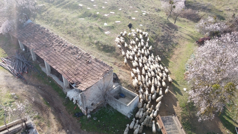bilecikli-kadin-girisimci-devlet-destegiyle-kurdugu-suruyu-ailesiyle-buyutuyor-7060