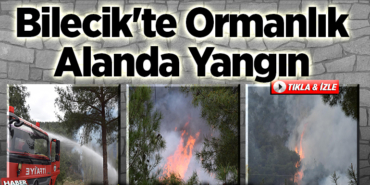 bilecikte orman yangını