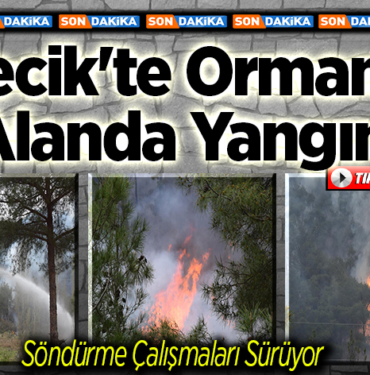 bilecikte orman yangını