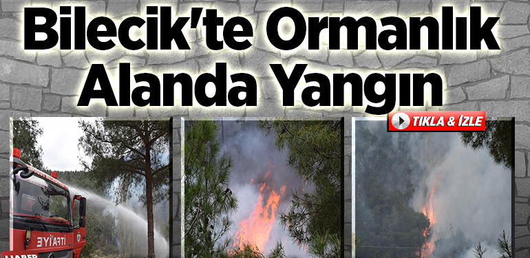 Bilecik’te ormanlık alanda çıkan yangına müdahale ediliyor