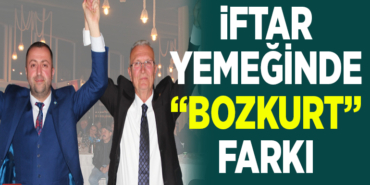 bozkurt