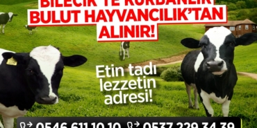 bulut hayvancılık