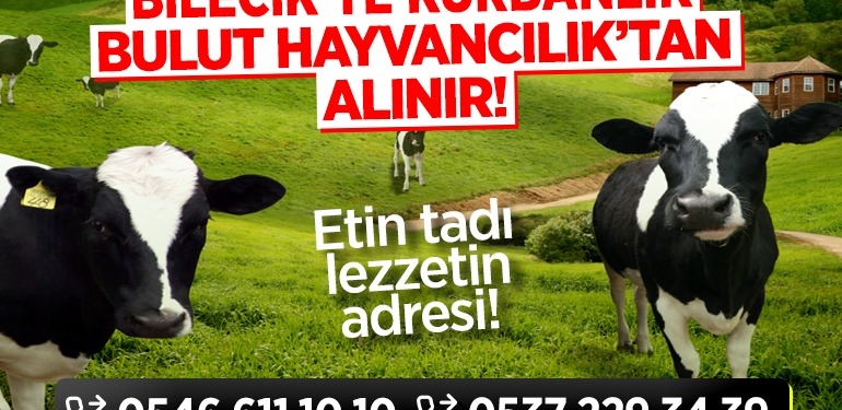 Bilecik’te Kurbanlık Bulut Hayvancılıktan Alınır!