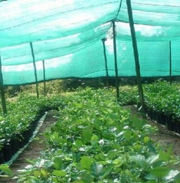 çit filesi (2)