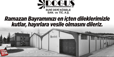 doğuş suni deri