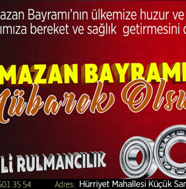 girilti rulman ilkay deniz