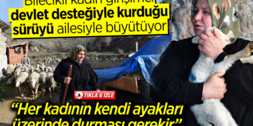 kadıngirişimci