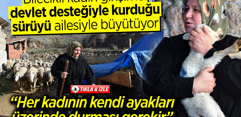 Bilecikli kadın girişimci devlet desteğiyle kurduğu sürüyü ailesiyle büyütüyor