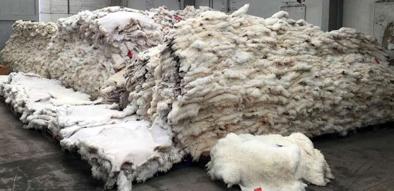 Sheepskin Tannery