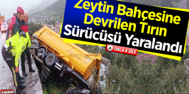zeytin bahçesine devrilen tırın sürücüsü yaralandı
