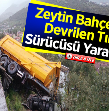 zeytin bahçesine devrilen tırın sürücüsü yaralandı